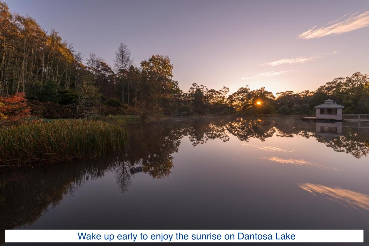 Villa Dantosa Blue Mountains Retreat Katoomba Exterior foto