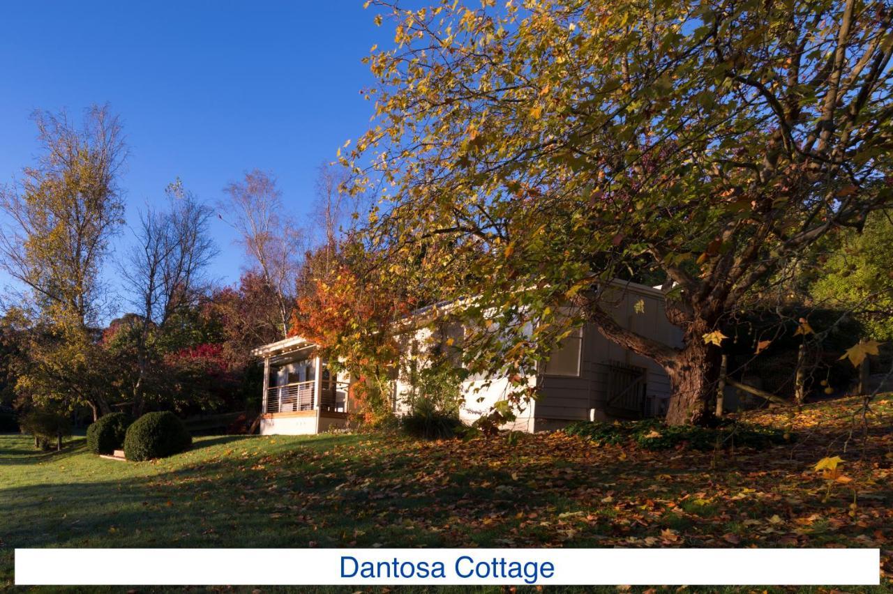 Villa Dantosa Blue Mountains Retreat Katoomba Exterior foto