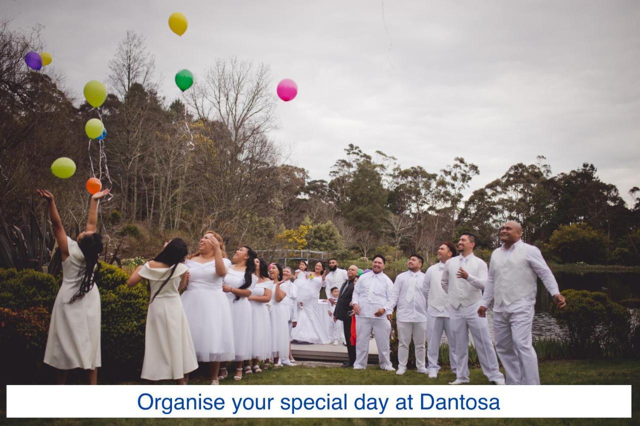 Villa Dantosa Blue Mountains Retreat Katoomba Exterior foto